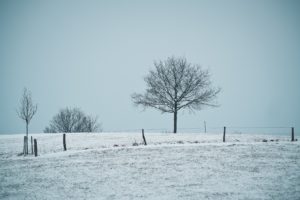 winter_neumondzeit